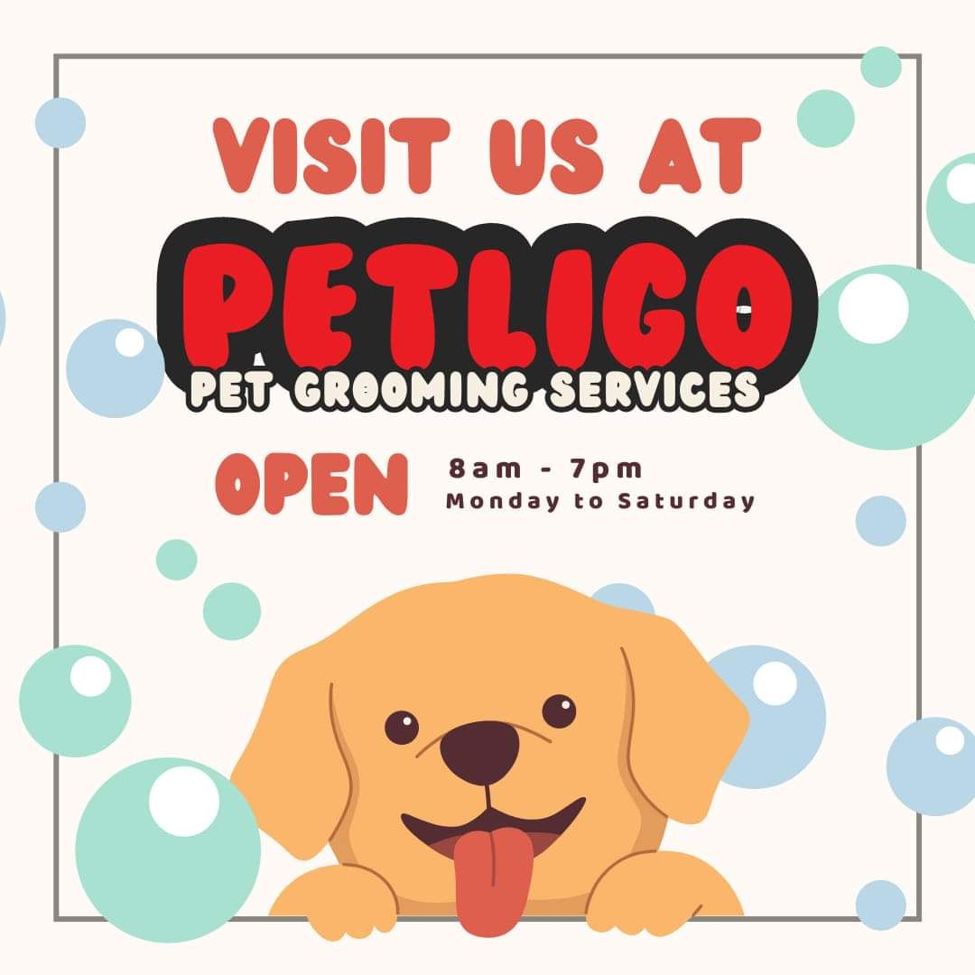 Pet Grooming Services